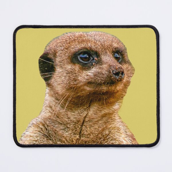 Item preview, Cute Meerkat designed and sold by Dalyndigital Photography.