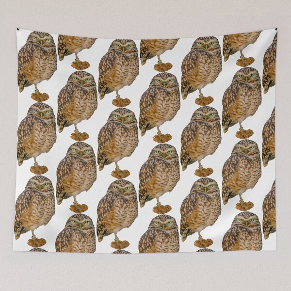 Item preview,  American Burrowing Owl designed and sold by Dalyndigital Photography.