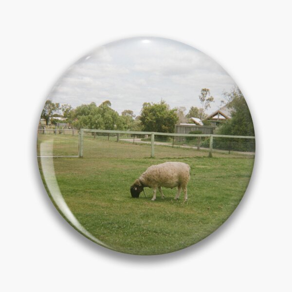 Item preview, Leyburn sheep on 35mm film designed and sold by Dominique Tassell.