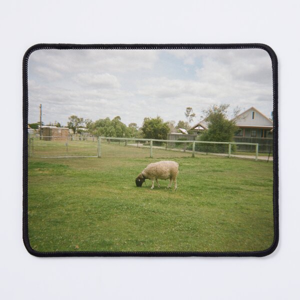 Item preview, Leyburn sheep on 35mm film designed and sold by Dominique Tassell.