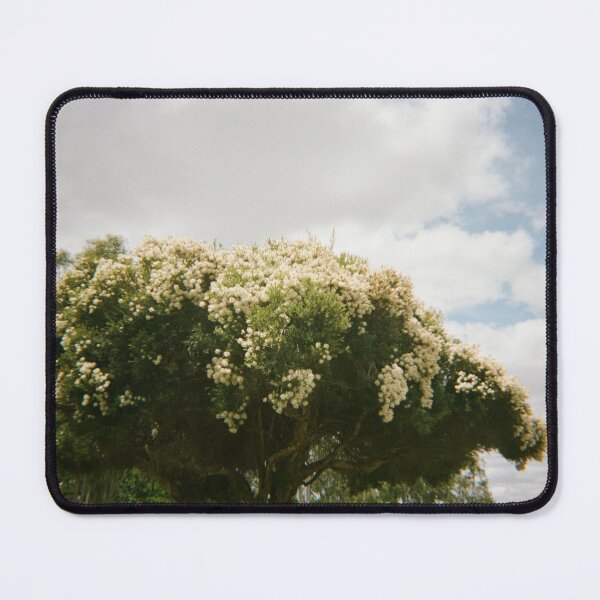 Item preview, Leyburn on 35mm film designed and sold by Dominique Tassell.