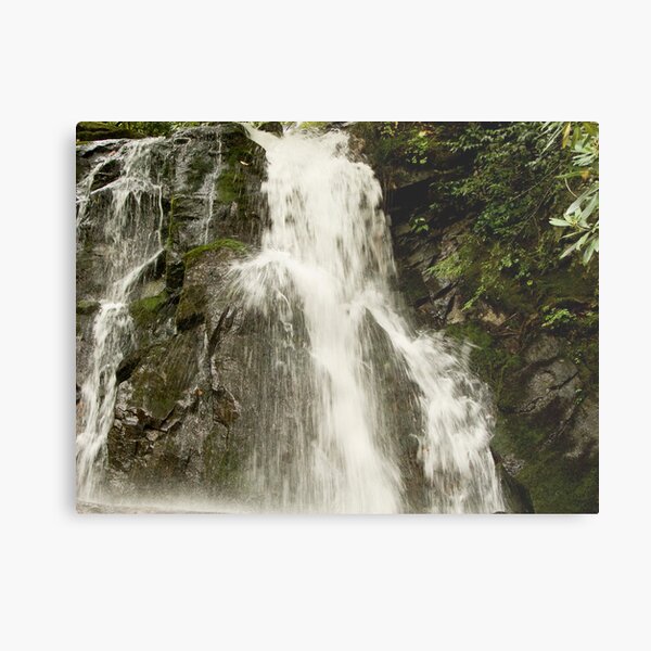 Laurel Falls again! Metal Print