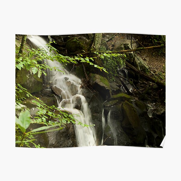 Guess what? More Laurel Falls!! Poster
