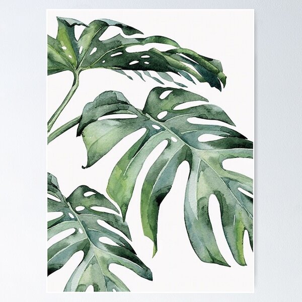 Item preview, Monstera Leaves designed and sold by 2rose.