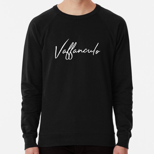 Magnifique 2025 sweatshirt h&m