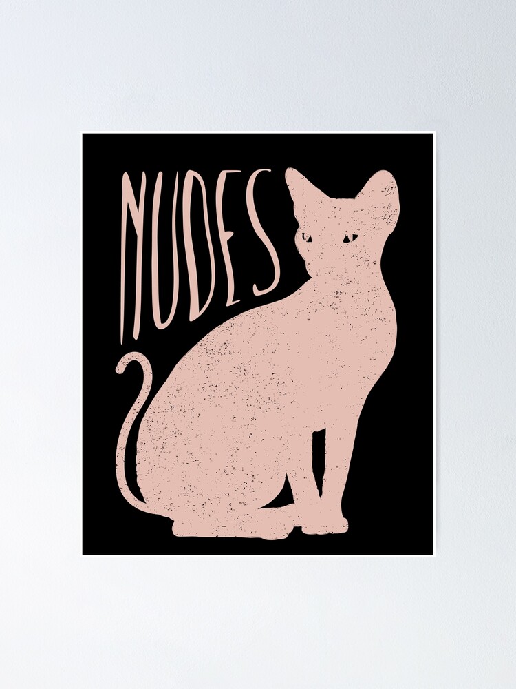 "Nudes Sphynx Cat Kitten" Poster for Sale by mooon85 | Redbubble