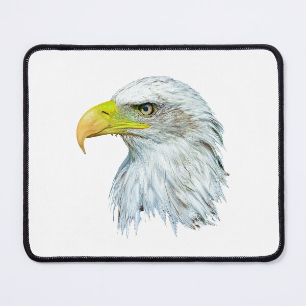 Item preview, Bald Eagle Head designed and sold by Dalyndigital Photography.