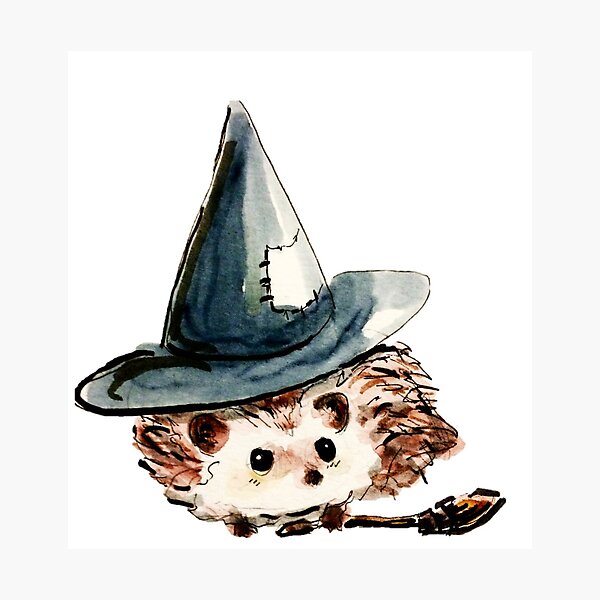 Hedgehog Witch Photographic Print