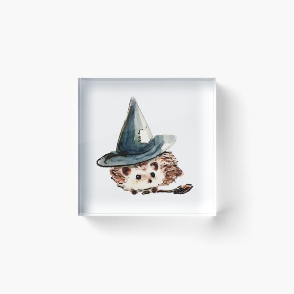 Hedgehog Witch Acrylic Block