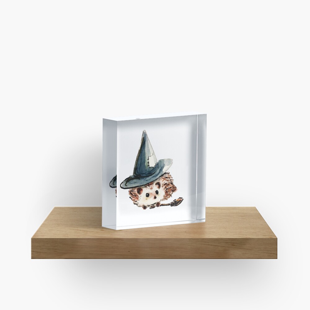 Hedgehog Witch Acrylic Block