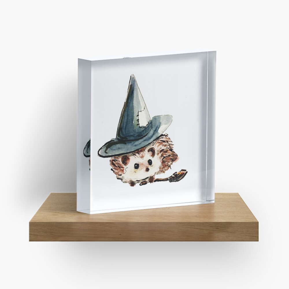 Hedgehog Witch Acrylic Block