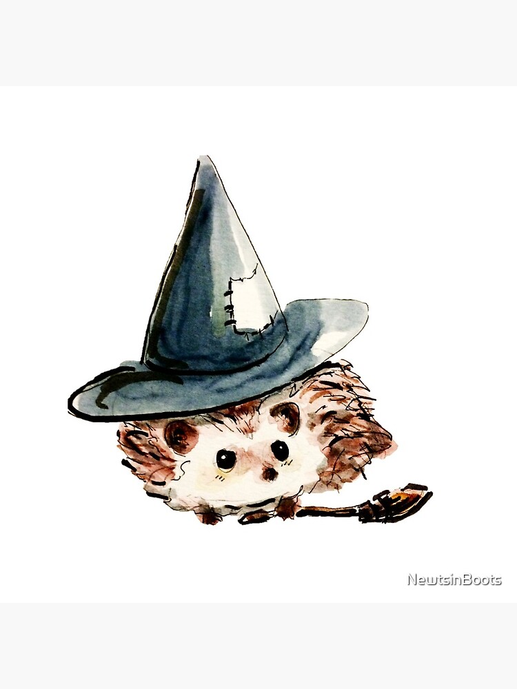 Hedgehog Witch by NewtsinBoots