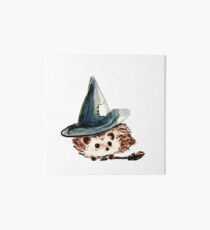 Igel Hexe Galeriedruck