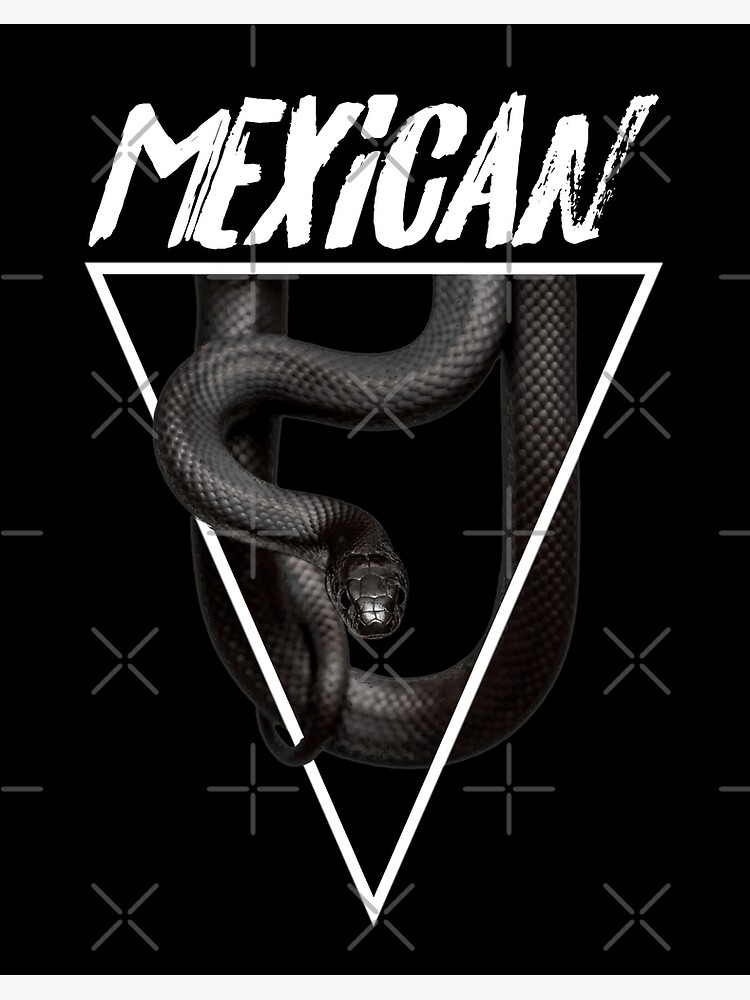Mexican Black Kingsnake Snake Owner | Pullover Hoodie