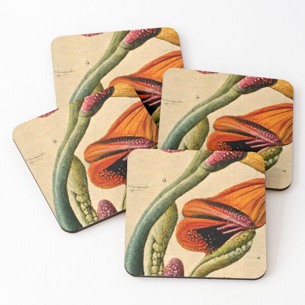 Item preview, Exotic Nature, Botanical floral  illustration designed and sold by B-outfiters.