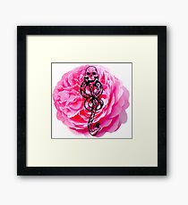 Carnations & Dark Marks Framed Print