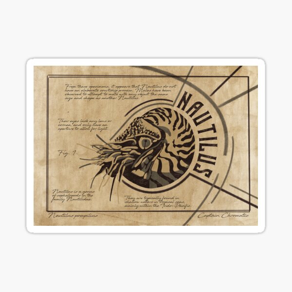 [PRINT] Portrait Nautilus Sticker