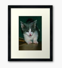 Vincent Framed Print