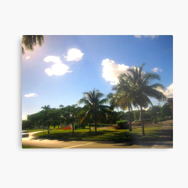 Island in Bahamas Metal Print