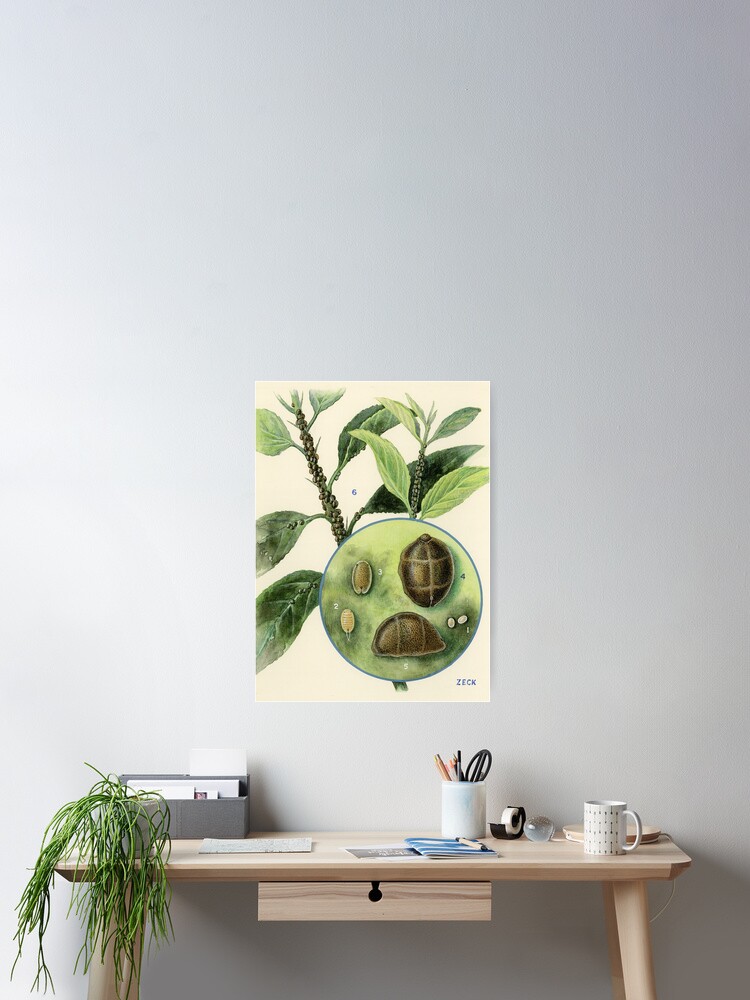 Thumbnail 2 of 3, Poster, Brown Scale designed and sold by BiosecurityColl.