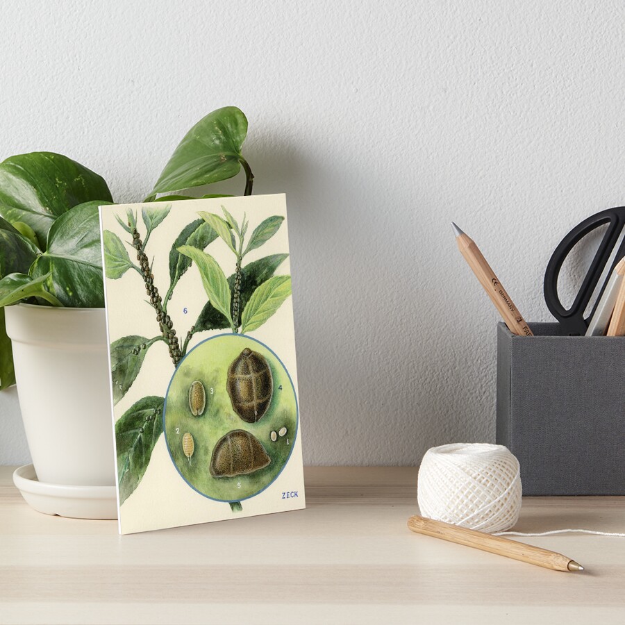 Item preview, Art Board Print designed and sold by BiosecurityColl.