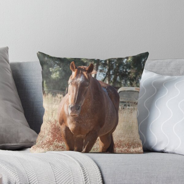 Item preview, Sleeping Horse Photography Print designed and sold by griffingphoto.