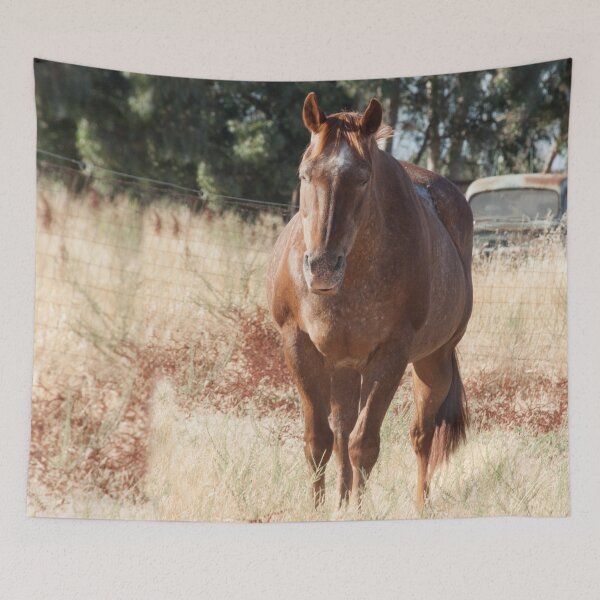 Item preview, Sleeping Horse Photography Print designed and sold by griffingphoto.
