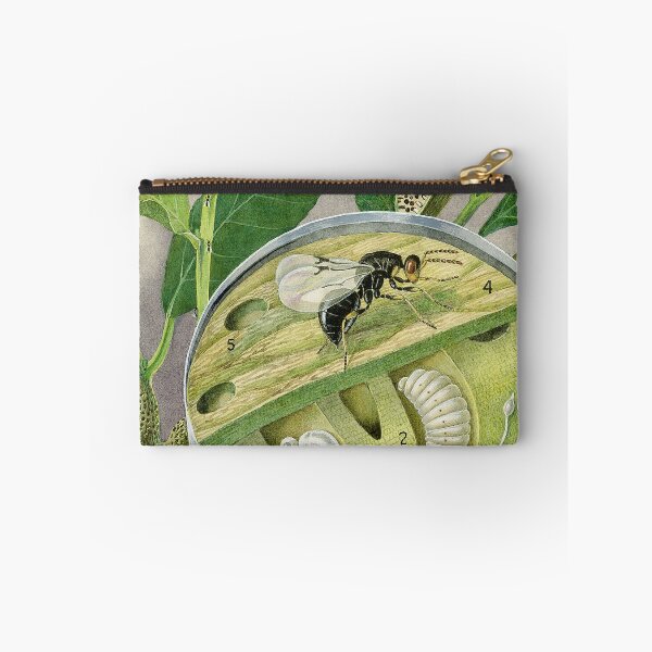 Item preview, Citrus Gall Wasp designed and sold by BiosecurityColl.