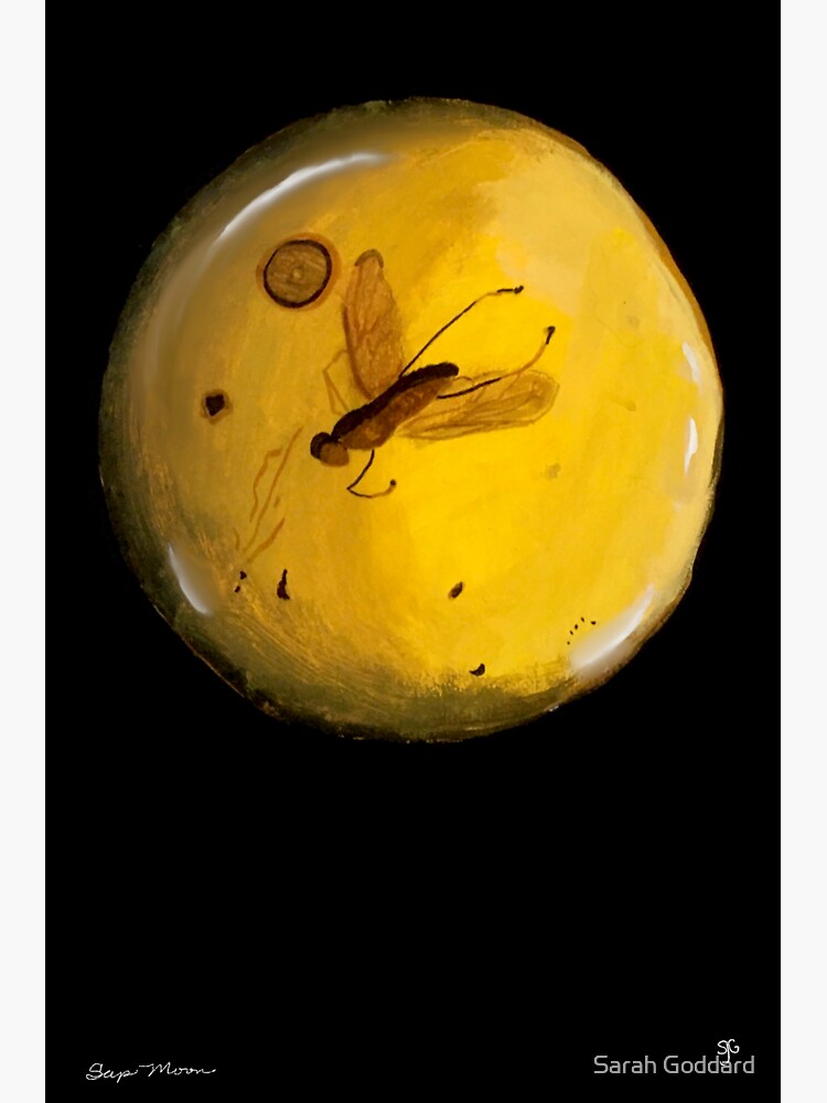 sap-moon-fourth-full-moon-of-the-year-farmer-s-almanac-collection