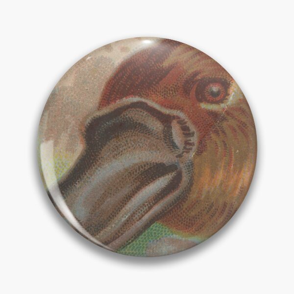 Item preview, 1800s Platypus lithograph from Cigarette box designed and sold by cheeseburgercat.