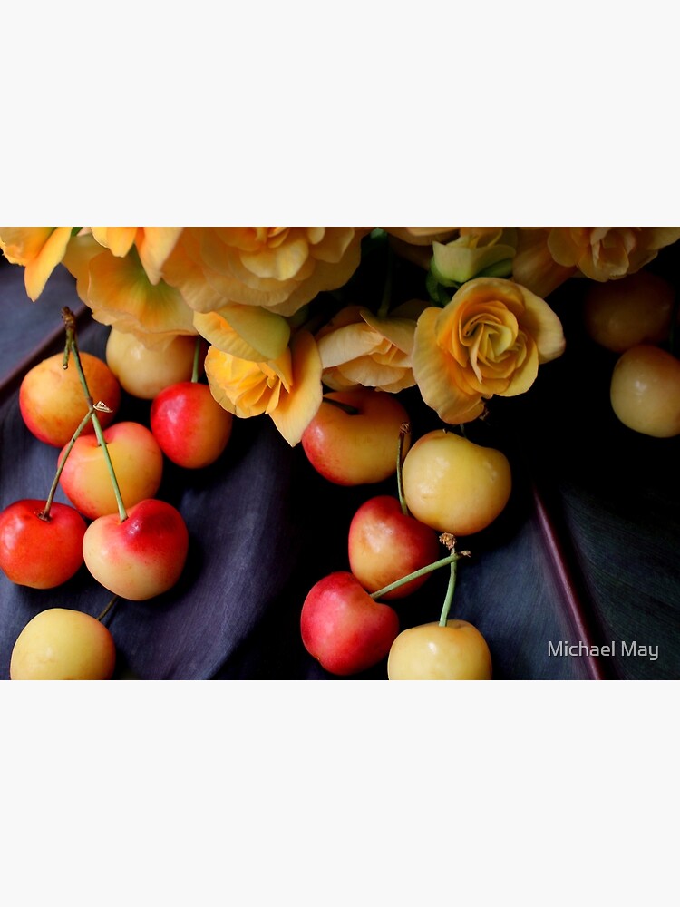 Tarjetas de felicitación « cerezas doradas o cerezas Rainier. El término  'rojo cereza' no cabe en este caso. Una de mis frutas favoritas. De una  nube de begonias amarillas. El área de