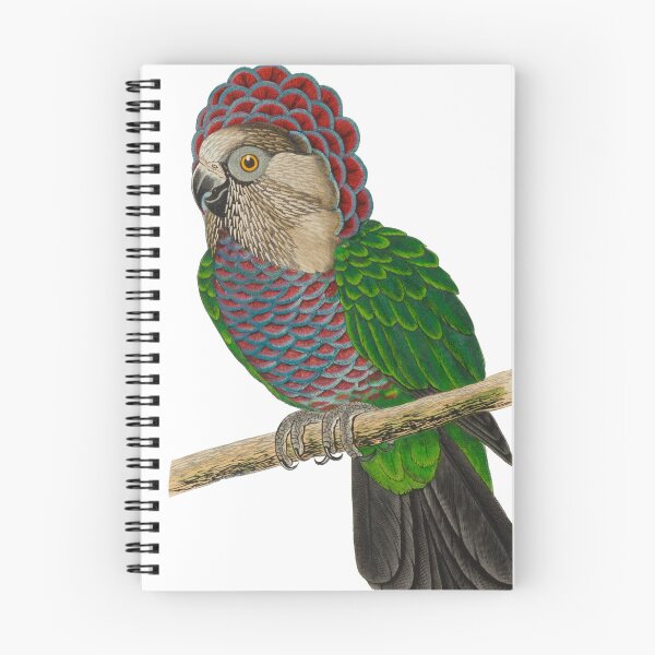 Item preview, Vintage Hawk-headed Parrot designed and sold by IliaLobell.