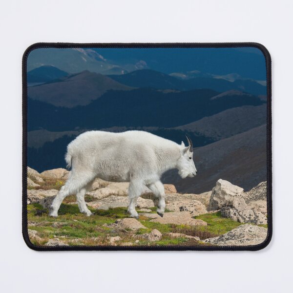 Item preview, Mountain Goat walking across the tundra designed and sold by Eivor Kuchta.