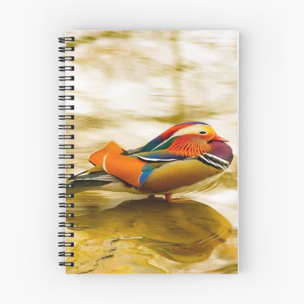 Item preview, Pájaro colorido designed and sold by ZROL.