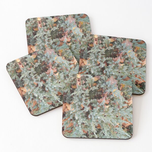 Item preview, Bush designed and sold by TABITAland.