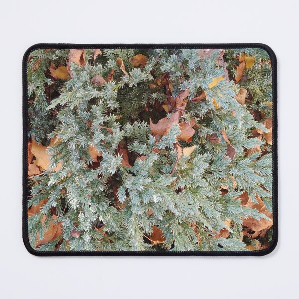 Item preview, Bush designed and sold by TABITAland.