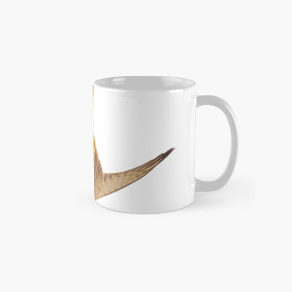 Nankeen Kestrel, diving Classic Mug