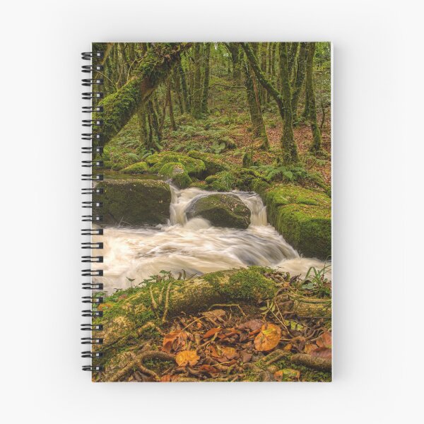 Item preview, Golitha falls bodmin moor Cornwall designed and sold by eddiej.