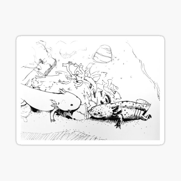 Axolotls Meeting Sticker