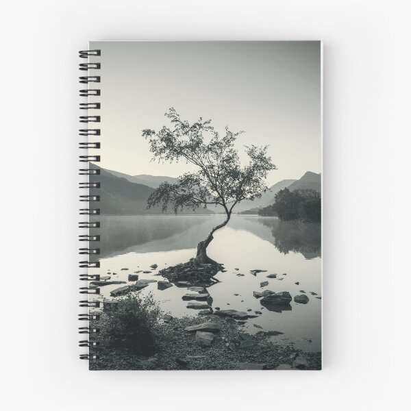 Item preview, Tree at Llyn Padarn designed and sold by David Lichtneker.