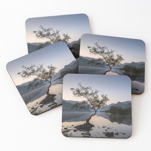 Item preview, Tree at Llyn Padarn II designed and sold by David Lichtneker.