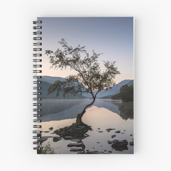 Item preview, Tree at Llyn Padarn II designed and sold by David Lichtneker.