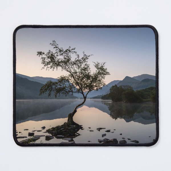 Item preview, Tree at Llyn Padarn II designed and sold by David Lichtneker.