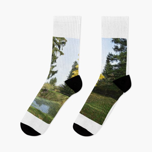 Item preview, Tree by the lake again in autumn in Burgenland designed and sold by Roland69.