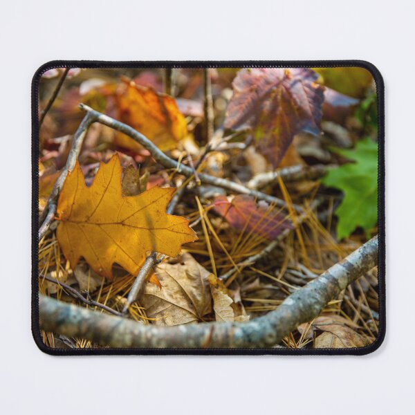 Item preview, Fallen Brush designed and sold by Daniel's Destinations.
