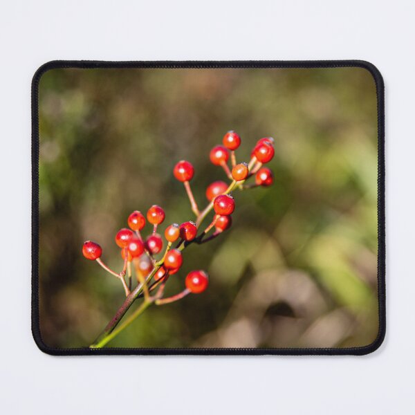 Item preview, Red Berries designed and sold by Daniel's Destinations.