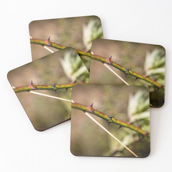 Item preview, Natural Defense designed and sold by Daniel's Destinations.