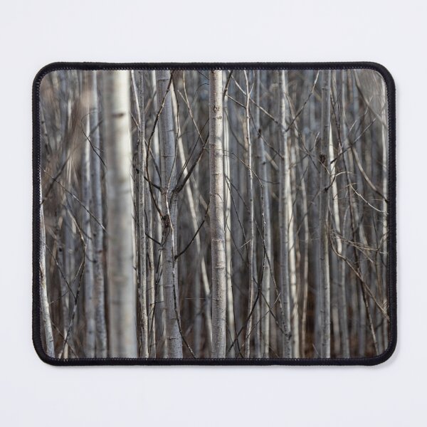 Item preview, Birch Forest designed and sold by Daniel's Destinations.