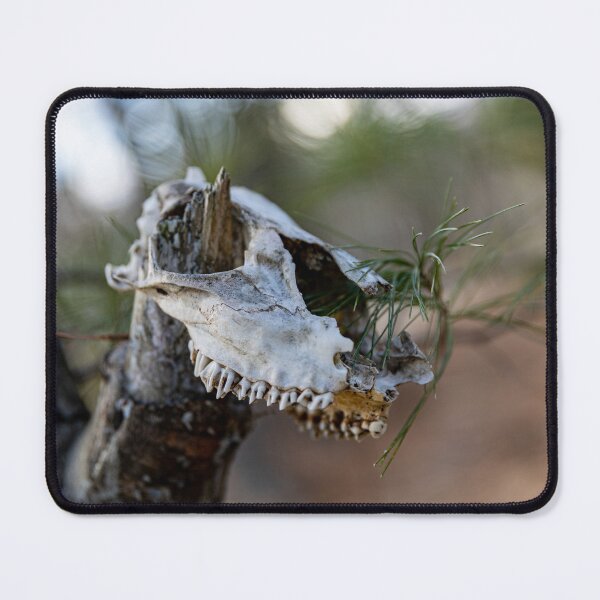 Item preview, Skull Forest designed and sold by Daniel's Destinations.