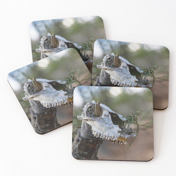 Item preview, Skull Forest designed and sold by Daniel's Destinations.